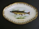 Beautiful Antique Dish Karlsbad