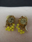 Beautiful Clip Earrings