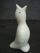 White Pie Bird