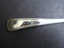 Silver Condiment Ladle