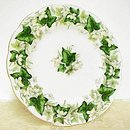Royal Albert Dinner Plate - Ivy Lea