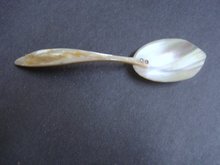 Mother of Pearl Tea Caddy Spoon - Natural