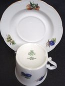 Wonderful Cup and Saucer Fine East German Porcelain
