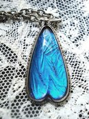 Precious Butterfly Wing Pendant Super Quality