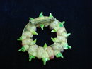 Tiny Shell Broach