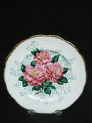 Pretty Vintage Plate CAMELLIA