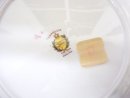 Pretty Vintage Plate CAMELLIA