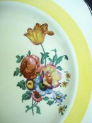 Wood's Floral Plate Ivory Ware