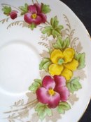 Teacup and Saucer by Salisbury England
