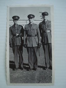 1940 Real Photo Officers in Uniform
