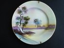 Noritake Plate Hand Painted