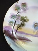Noritake Plate Hand Painted