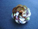Pearl Brooch France