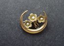 Charming Victorian Brooch Pin