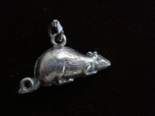 Charming Silver Mouse Charm