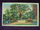Linen Postcard Prospect Park Brooklyn N Y