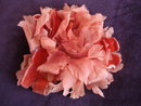 Coral Silk Rose for Dress or Millinary