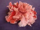 Coral Silk Rose for Dress or Millinary