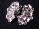 Fantastic Weiss Earrings Clip