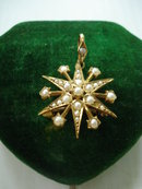 15ct Gold Pendant Brooch