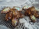 Iridescent Rhinestone Earrings
