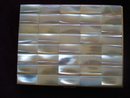 Cigarette Case Mother of Pearl Top