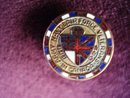 Army Navy and Air Force Veterans Lapel Pin