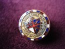 Army Navy and Air Force Veterans Lapel Pin