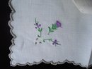 Embroidered Napkins Pair