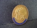 Badge Gun Dog Club Brandon