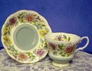 Royal Albert China Cup & Saucer Jacobian