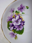 Royal Kent Cup & Saucer PRETTY