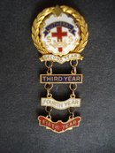 Pin Lutheran Fifth Year