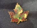 Colorful Enamel Brooch Maple Leaf CANADA