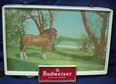 1950's Budweiser Horse Light-Up Sign