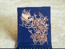 Bopp's Flower Shop Matchbook
