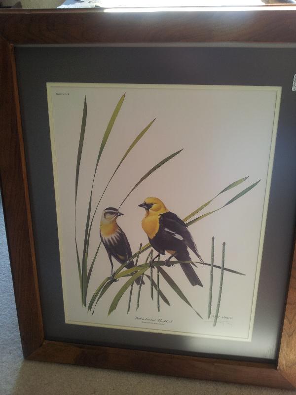 West Virginia's Ray Harm Yellow Black Bird Print