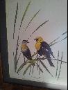 West Virginia's Ray Harm Yellow Black Bird Print