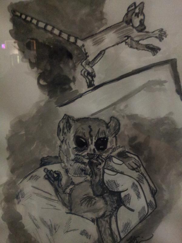 Lemurs in ink