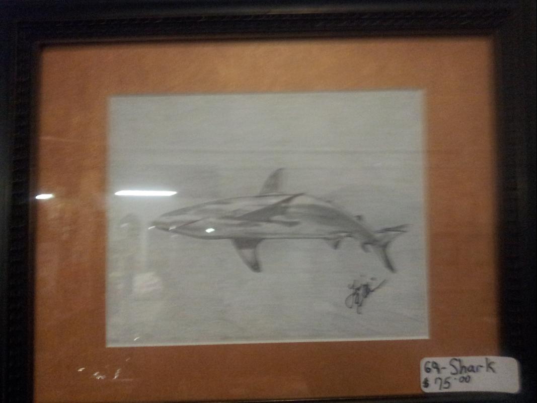 Shark in Pencil