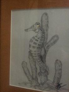 Sea Horse