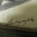 Louis Dalrymple Print Aroused 1894