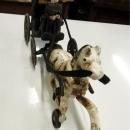 Collectbile Horse Drawn Carriage Driver Passenger Vintage