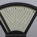 National Store Specially Co General Store Scale circa 1920 Black