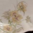 Theodore Haviland Dish Limoges Saint Cloud Floral Pattern 1892-1893