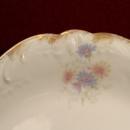 Theodore Haviland China Platter Floral Pattern Colorful