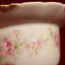 Haviland China Sugar Bowl Plate and Finger Bowls Rose pattern