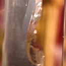 Antique Figural Candelabra Gilded Girandole Prisms Marble
