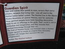 Guardian Spirit Trail Painted Ponies 1E /1146 Retired
