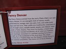 Retired Fancy Dancer Trail Of Painted Ponies Horse Figurine 1E/2096
